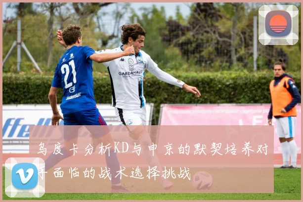 乌度卡分析KD与申京的默契培养对手面临的战术选择挑战