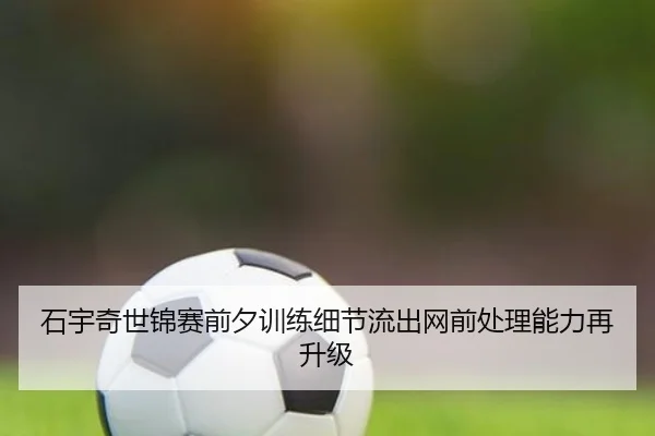 石宇奇世锦赛前夕训练细节流出网前处理能力再升级